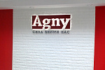 Дополнительное изображение работы Логотип компании Agny